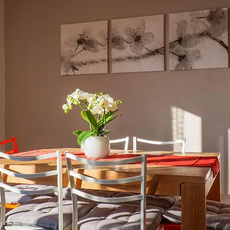 Al Pianaccio Apartment Trarego Viggiona